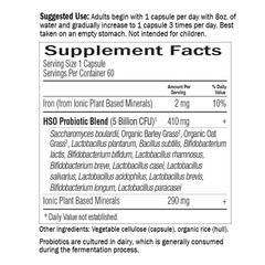 Primal Defense Ultra Probiotic Supplement – 60 Capsules for Gut Health & Immunit