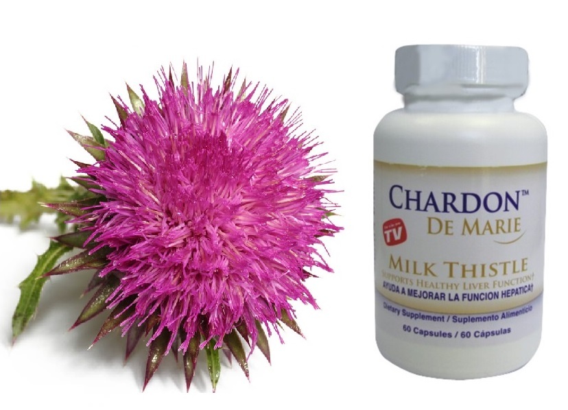 Chardon de Marie 60 Capsules
