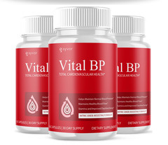(3 Pack) Vital BP innovative Blood Support Vitamin Formula VitalBP 180 Capsules