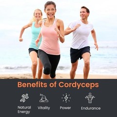 Cordyceps Mushroom – Performance Mushroom Supplement for Testosterone booster A2