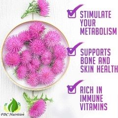 FDC NUTRITION Milk Thistle Extract Powder 8.8 oz