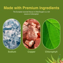 Herbs Etc. ChlorOxygen, Chlorophyll Concentrate Dietary Supplement, 120 Softg…