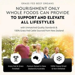 Ancestral Supplements Grass Fed Beef Organ 180 Capsules Supplement – Non-GMO