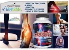 Glucosamine Chondroitin with COLLAGEN Cissus Quadrangularis MSM Turmeric 300