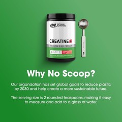 Optimum Nutrition Creatine Monohydrate Powder Strawberry Peach Performance 720g