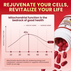 Urolithin A Supplement Enhance Cellular Health & Boost Energy Focus 120 Caps
