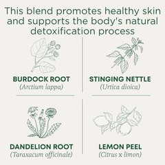 Herbal EveryDay Detox Tea – Bright Lemon Flavor in Compostable 96 Tea Bags