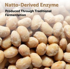 Micro Ingredients Nattokinase 10,000 FU Per Serving 240 Count (Pack of 1)