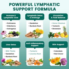 Lymphatic Drainage & Immune Support Supplement Echinacea Horse Chestnut Burdock