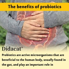 DIDACAT Mood Probiotic Capsules – Stable Positive Mood,Digestive Health Support