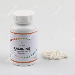 AUTHENTIC LifePharm Laminine Supplement 120 Capsules Total – EXP 07/2027!