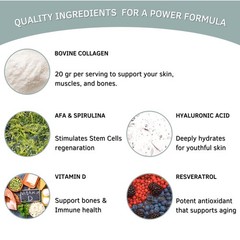 Bioxtron Collagen Peptides Powder – Unflavored, Type I 1.31 Pound (Pack of 1)