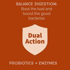 Bacillus B3 Probiotics – Bacillus Subtilis, Coagulans Clausii Enzymes prebiotic
