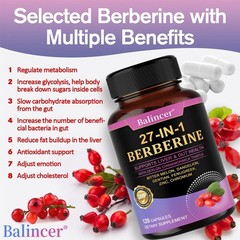 Berberine Supplement Enhance Immune Function Antioxidants 30/60/120 Capsules