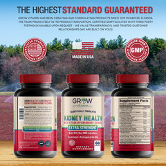 Kidney Health Support Supplement with Uva Ursi & Cranberry – Kidney Detox