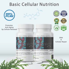 BasicCellularNutrition, Precusor, 90 Capsules (2 Bottles)