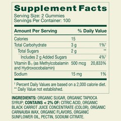 Spring Valley Non GMO Vitamin B12 Vegetarian Gummies, Raspberry, 500 mcg, 200 CT
