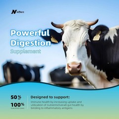 Bovine Colostrum Capsules Supplement 2000mg- 120 Capsules – Gut Health, Muscl…