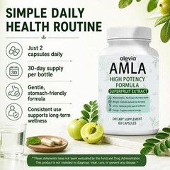 Amla Capsules 1000mg Organic Indian Gooseberry 60 Ct Ayurvedic Alevia Fruit US