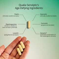QUALIA LIFE SCIENCES Senolytic Supplement, Fisetin, Quercetin, Piperlongumin …
