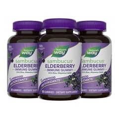 Nature’s Way Sambucus Elderberry Immune Support Gummies 60 Count (Pack of 3)