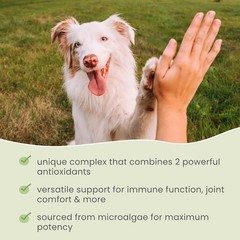 Dr. Mercola, Bark & Whiskers, Spirulina, For Dogs & Cats, 180 Tabs, 3.17 oz (90g
