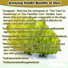 antioxidant supplement for men – GRAY HAIR – NONI COMBO 2B – noni powder organic