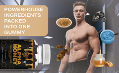(3 Pack) Alpha Honey Performance Gummies, AlphaHoney Supplement (90 Gummies)