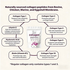 1 Bundle Multi Collagen Peptides Powder 2 lb – Hydrolyzed Protein Peptides