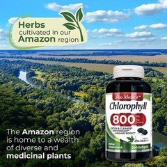 FITO MEDIC’S Lab – Chlorophyll – Pure – 800 mg per 200 Count (Pack of 1)