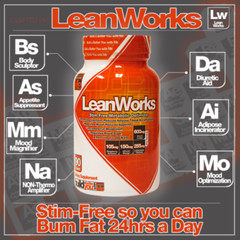 Muscle Elements LEAN WORKS 90 Capsules – Stronger than Nugenix Ultimate 120