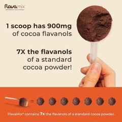BUNDLE! (6) FlavaMix Performance Cocoa Powder 900mg 87oz BB 11/2027