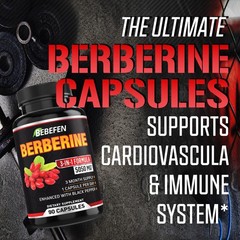 Berberine Capsules with Black Pepper Extract – 90 Capsules – 3 Month Supply