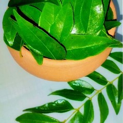 Lower cholesterol levels, promote help control blood sugar level – curry leaves