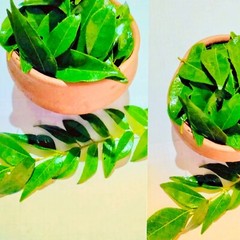 Lower cholesterol levels, promote help control blood sugar level – curry leaves