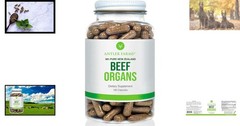 Nutrient-Dense Grass-Fed Beef Organs – 180 Capsules, Cold-Processed for Wellness