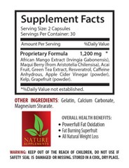 African Mango Powder – AFRICAN MANGO LEAN 1200 – Super Antioxidant 1B