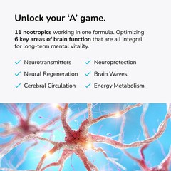 2P-Mind Lab Pro MLP v4 Universal NootropicTM Brain Booster Supplement for Focus