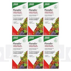 Floradix Liquid Iron & Vitamin Formula Energy & High Absorption 500ml Pack of 6