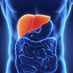 anti inflammatory zone – LIVER SUPPORT COMPLEX 1200MG 1B- milk thistle liver