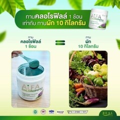 10x Real Elixir Alpha Chlorophyll Plus Dietary Supplement Detox Toxins No Sugar
