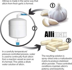 Allimax Garlic Supplement 90 Count Bioactive Allicin Immune Support Capsules