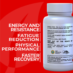 Energy – Memory and Focus Supplements – Energy Boost – Folic Acid – 60 Caps