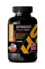 adaptogen dietary supplements – ASTRAGALUS 770MG – immune support herbs 1BOTTLE