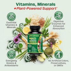 Life’s Fortune Multi-vitamin Advanced Energy Support 90 Vegetarian Tablets