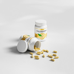 Ginsenosides Supplement | 120 Capsules US Made | Vinsic Noble Ginseng for Health