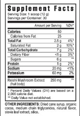 Youngevity Sandra Beyond Hot Chocolate 360g Canister