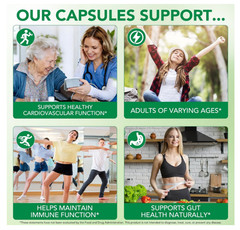 Odorless Aged Garlic Extract 7500mg Heart Immune Support Supplement 300 Softgels