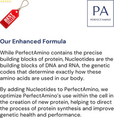 Perfectamino Powder BCAA EAA Pre Post Workout Muscle Recovery Vanilla 30srv US
