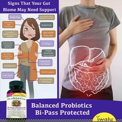 Lactobacillus Cystitis | Best Supplement Capsule Pill Men Women FREE SHIP